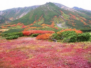 大雪山.jpg
