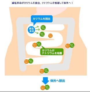 減塩革命.JPG