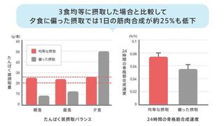 筋肉合成.JPG