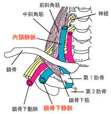 鎖骨下.jpg