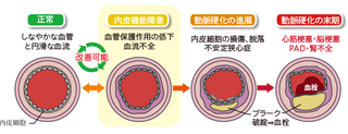 FMD検査.png
